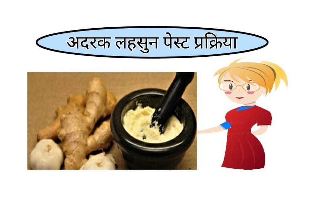 Ginger garlic paste process food business ideas in hindi 