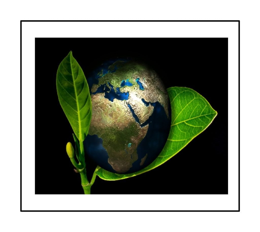 Eco Business ideas in hindi | ईको बिज़नेस आइडियाज