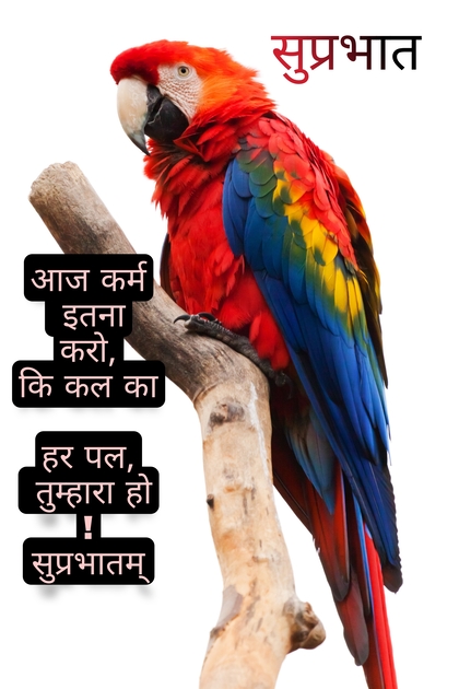 Best Good Morning Quotes in Hindi that image show parrot bird cute, Wishes, Greetings, quotes, Text, One line, Find Good Morning WhatsApp messages, best hd Good morning text on image.
