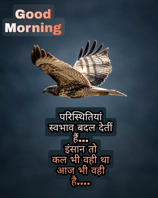 Best Good Morning Quotes in Hindi that image bird flying in skay, Wishes, Greetings, quotes, Text, One line, Find Good Morning WhatsApp messages, best hd Good morning text on image.