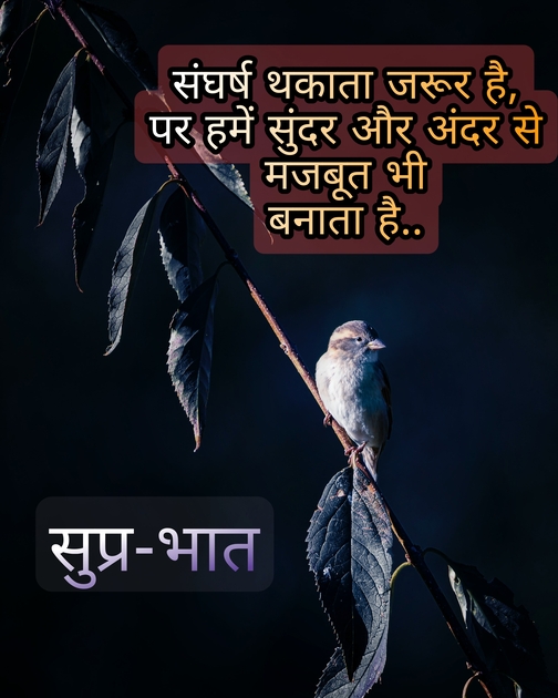 Best Good Morning Quotes in Hindi that image bird cute show back black background , Wishes, Greetings, quotes, Text, One line, Find Good Morning WhatsApp messages, best hd Good morning text on image.