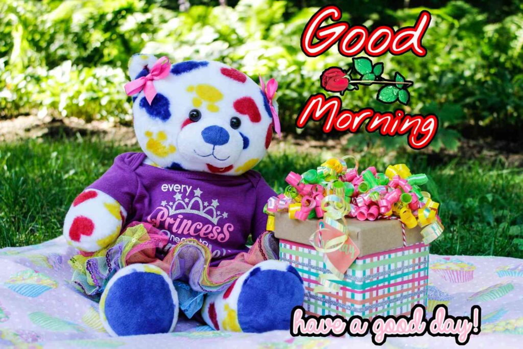 Teddy bear Good morning images best wishes picture pics photos and wallpaper for whatsapp wishes to your friends or girlfriend boyfriend and family members also happy photography this better quality provide 