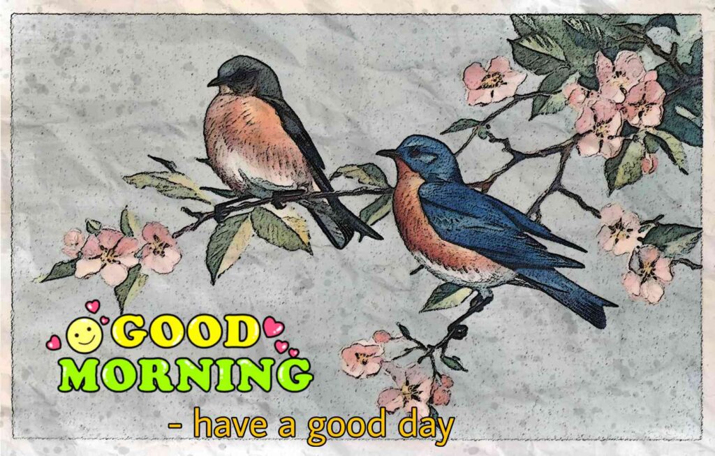 Good morning images with birds best painting best happiness
