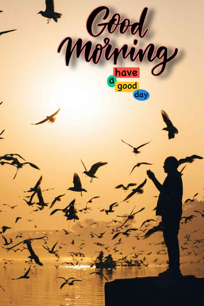 Good Morning best Images A flock of birds - Share These Morning Image Wallpaper A flock of birds Pictures Wishes,, sunshine Messages with your Friends & Family Members, and make everyone's day… sunshine Gud Morning Image, picture, Pics, Sending wishes to your loved ones.