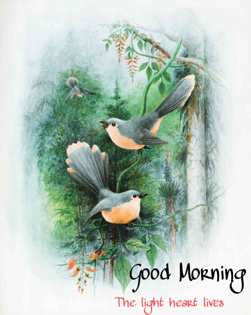 Good Morning best Images cute sparrow painting - Share These Morning Image Wallpaper cute sparrow painting Pictures Wishes,, graphics Messages with your Friends & Family Members, and make everyone's day… graphics Gud Morning Image, picture, Pics, Sending wishes to your loved ones.