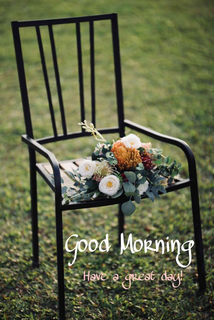 flowers on the chair good morning image hd full whatsapp that available in ground that show best for you share to Facebook and whatsapp picture