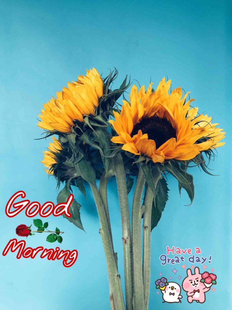 Good Morning sunshine wishes to your friends picture pics photos images wallpaper for whatsapp wishes morning sunshine wishes to your friends best for your happiness to friends good morning images