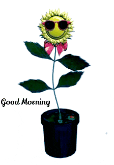 nice flowers Good Morning best one Gif new one and nice lovely for looking as beautiful flower , hd for cute whatsapp download looking as beautiful flower New 2021 also you can this nice Gif flowers use after 2022 as well as 2023, 2024, 2025.. best one 4k hd Gif, (new Gif) - Gud Morning cute Gif, looking as beautiful flower Gif, Sending wishes to nice Gif flowers your loved ones.