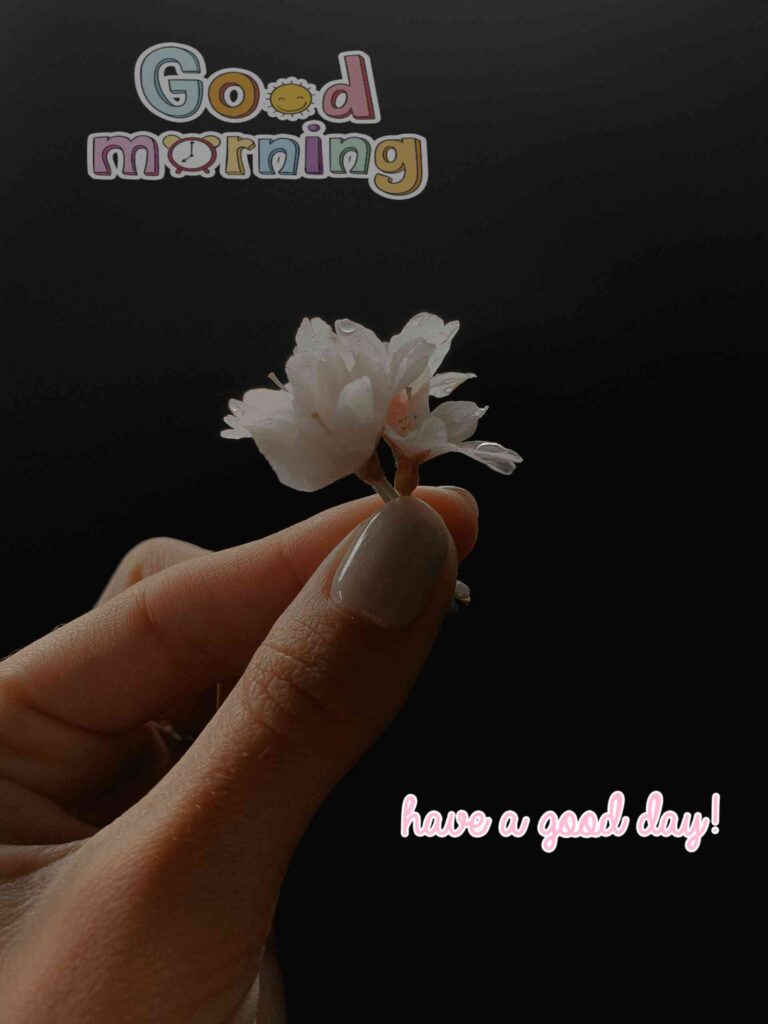 White flowers in hand Good Morning images with flowers pic No 1000 hd 4k that show best way to morning wishes also you can call pics, photos, picture Bloom and wallpaper that image you share with your nearest person such as girlfriend, boyfriend, family members and friends on whatsapp.