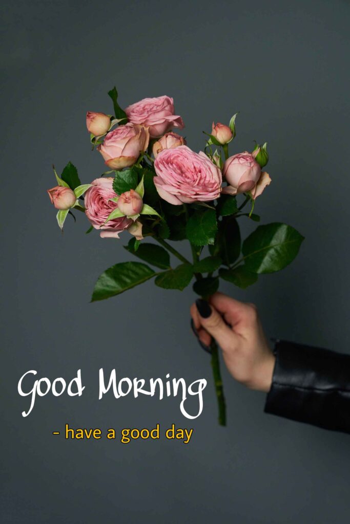In hand flowers Good Morning images with flowers pic No 56 hd 4k that show best way to morning wishes also you can call pics, photos, picture Bloom and wallpaper that image you share with your nearest person such as girlfriend, boyfriend, family members and friends on whatsapp.
