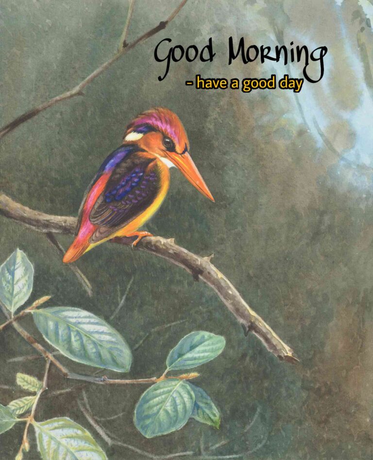 painting Good Morning Graphics images new one and nice lovely for incredible , hd for + whatsapp download incredible New 2021 also you can this painting use after 2022 as well as 2023, 2024, 2025.. Graphics 4k hd wallpapers, (new photos) - Gud Morning + Image, Pics Wallpaper incredible Pictures, Sending wishes to painting your loved ones.