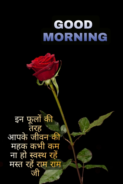Good morning image in hindi that show There is a rose in this photo with good morning quotes in hindi