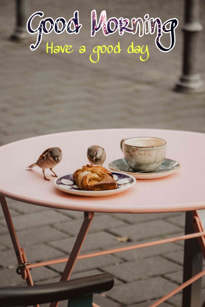 Cute sparrow and cup breakfast Good morning images best wishes for friends picture pics photos images wallpaper for whatsapp 