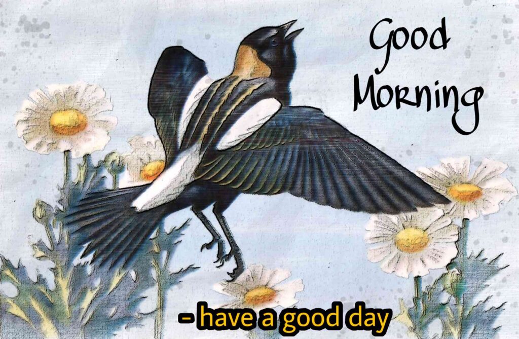 Best painting crow good Morning sunshine wishes to your friends picture pics photos images wallpaper for whatsapp wishes Bird