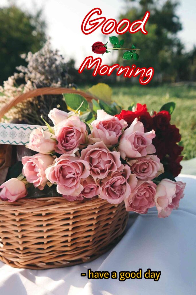 flowers in basket good morning image hd full whatsapp for girls girl friend and boyfriend that amazing photography