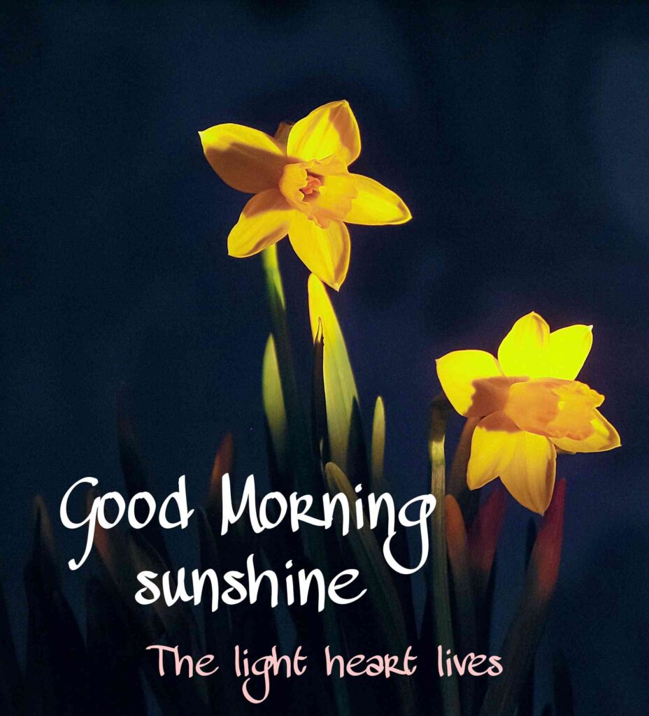400+ Good Morning Images | Beautiful Morning Wishes Pic Wallpapers