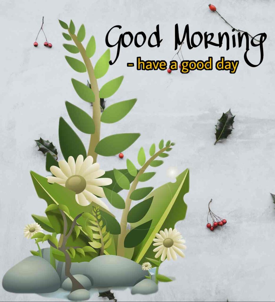 flowers good morning images for whatsapp wishes_12. Cute green nice photography environmental quality image you share to Facebook and whatsapp flowers