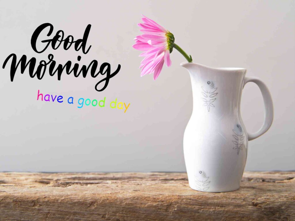 flowers good morning images for whatsapp wishes_4.